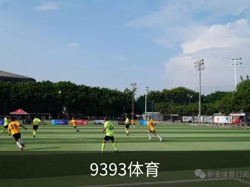 9393体育品牌故事